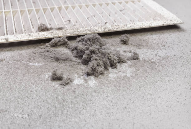 Best HVAC Duct Inspection Services  in Fallon, NV