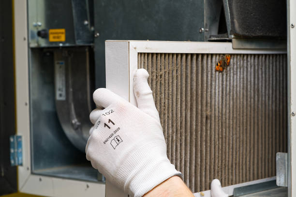 Best Emergency Air Duct Cleaning  in Fallon, NV