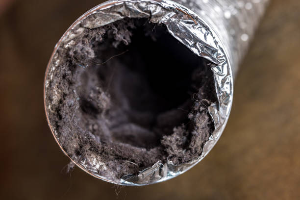 Best Affordable Duct Cleaning Services  in Fallon, NV