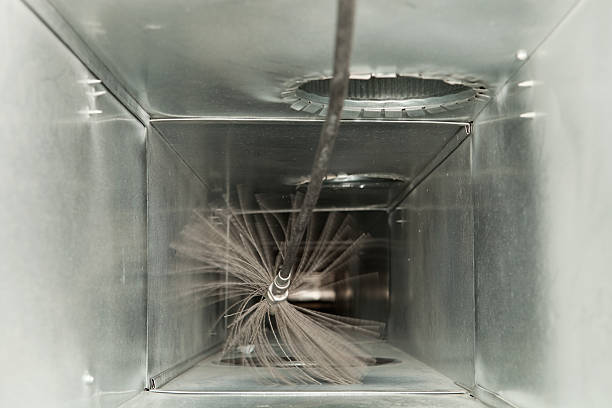 Best Affordable Duct Cleaning Services  in Fallon, NV