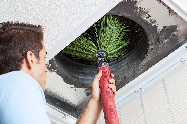 Best HVAC System Cleaning  in Fallon, NV